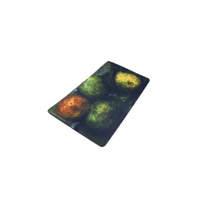 Green Stuff World 2D Neoprene Terrain - Forest with 4 trees