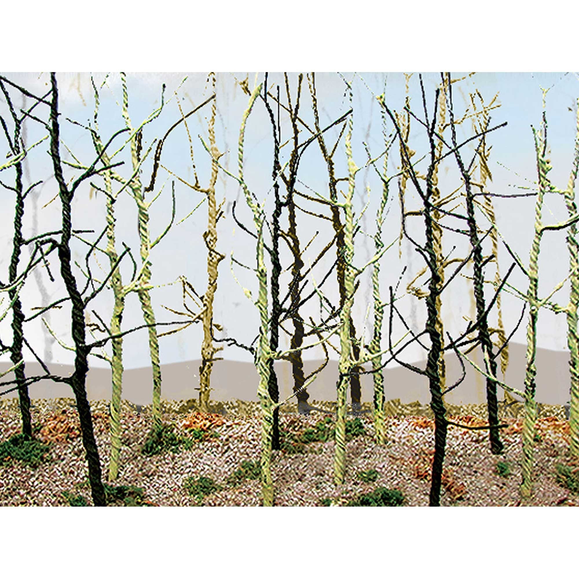 Wood's Edge Trees Bare (14) (BAC32509)