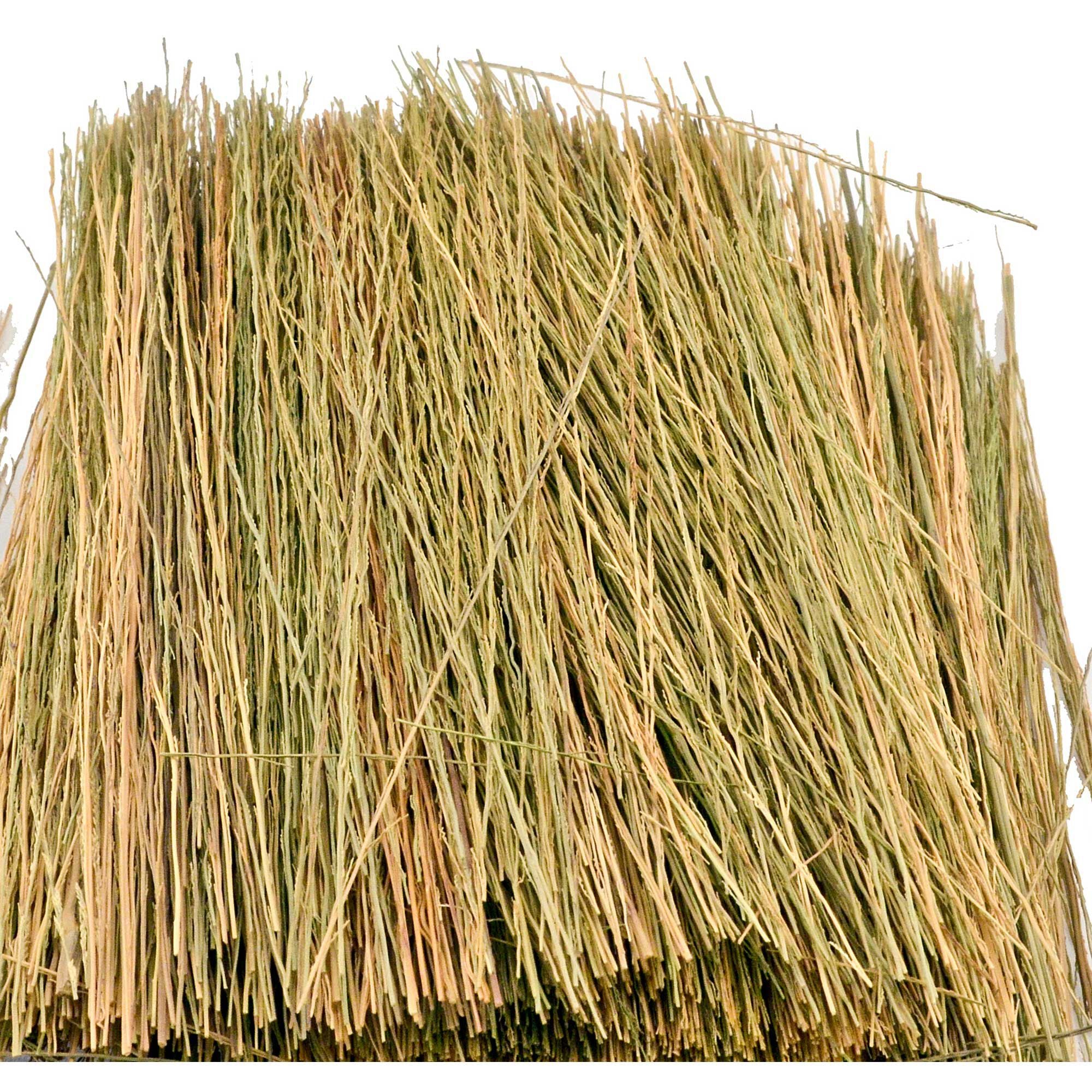 Field Grass Natural Brown (JTT95084)